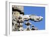 Italy, Milan, Cathedral, Gothic, Exterior, Gargoyle, Fanastic Animal-null-Framed Giclee Print