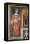 Italy, Milan, Church of Saint Maurice Al Monastero Maggiore, Santa Cecilia, 1521-1523-Bernardino Luini-Framed Stretched Canvas