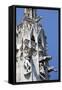 Italy, Milan, Milan Cathedral, Gargoyles-Samuel Magal-Framed Stretched Canvas