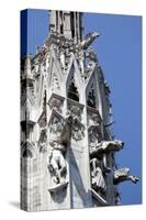 Italy, Milan, Milan Cathedral, Gargoyles-Samuel Magal-Stretched Canvas