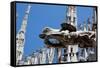 Italy, Milan, Milan Cathedral, Gargoyles-Samuel Magal-Framed Stretched Canvas