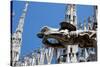 Italy, Milan, Milan Cathedral, Gargoyles-Samuel Magal-Stretched Canvas