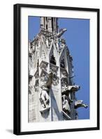 Italy, Milan, Milan Cathedral, Gargoyles-Samuel Magal-Framed Photographic Print