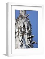 Italy, Milan, Milan Cathedral, Gargoyles-Samuel Magal-Framed Photographic Print