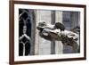 Italy, Milan, Milan Cathedral, Gargoyles-Samuel Magal-Framed Photographic Print