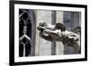 Italy, Milan, Milan Cathedral, Gargoyles-Samuel Magal-Framed Photographic Print