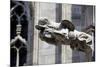 Italy, Milan, Milan Cathedral, Gargoyles-Samuel Magal-Mounted Photographic Print