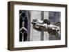 Italy, Milan, Milan Cathedral, Gargoyles-Samuel Magal-Framed Photographic Print