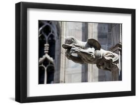 Italy, Milan, Milan Cathedral, Gargoyles-Samuel Magal-Framed Photographic Print