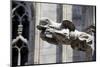 Italy, Milan, Milan Cathedral, Gargoyles-Samuel Magal-Mounted Photographic Print