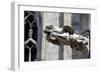 Italy, Milan, Milan Cathedral, Gargoyles-Samuel Magal-Framed Photographic Print