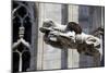 Italy, Milan, Milan Cathedral, Gargoyles-Samuel Magal-Mounted Photographic Print