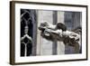 Italy, Milan, Milan Cathedral, Gargoyles-Samuel Magal-Framed Photographic Print