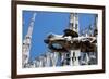 Italy, Milan, Milan Cathedral, Gargoyles-Samuel Magal-Framed Photographic Print