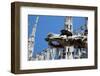 Italy, Milan, Milan Cathedral, Gargoyles-Samuel Magal-Framed Photographic Print