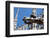 Italy, Milan, Milan Cathedral, Gargoyles-Samuel Magal-Framed Photographic Print