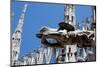 Italy, Milan, Milan Cathedral, Gargoyles-Samuel Magal-Mounted Photographic Print