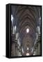 Italy, Milan, Milan Cathedral, Nave-Samuel Magal-Framed Stretched Canvas