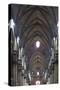 Italy, Milan, Milan Cathedral, Nave-Samuel Magal-Stretched Canvas