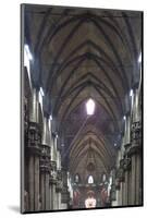 Italy, Milan, Milan Cathedral, Nave-Samuel Magal-Mounted Photographic Print