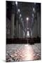 Italy, Milan, Milan Cathedral, Nave-Samuel Magal-Mounted Photographic Print