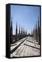Italy, Milan, Milan Cathedral, Roof Walk-Samuel Magal-Framed Stretched Canvas