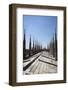 Italy, Milan, Milan Cathedral, Roof Walk-Samuel Magal-Framed Photographic Print