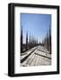 Italy, Milan, Milan Cathedral, Roof Walk-Samuel Magal-Framed Photographic Print