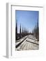 Italy, Milan, Milan Cathedral, Roof Walk-Samuel Magal-Framed Photographic Print