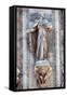 Italy, Milan, Milan Cathedral, Statues and Reliefs-Samuel Magal-Framed Stretched Canvas