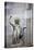 Italy, Milan, Milan Cathedral, Statues and Reliefs-Samuel Magal-Stretched Canvas