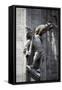 Italy, Milan, Milan Cathedral, Statues and Reliefs-Samuel Magal-Framed Stretched Canvas