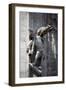 Italy, Milan, Milan Cathedral, Statues and Reliefs-Samuel Magal-Framed Photographic Print