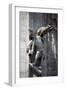 Italy, Milan, Milan Cathedral, Statues and Reliefs-Samuel Magal-Framed Photographic Print