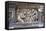 Italy, Milan, Milan Cathedral, Windows, Statues and Reliefs-Samuel Magal-Framed Stretched Canvas