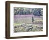 Italy, Montepulciano, Almond Grove in the Autumn Season-Terry Eggers-Framed Photographic Print