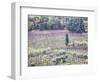 Italy, Montepulciano, Almond Grove in the Autumn Season-Terry Eggers-Framed Photographic Print