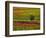 Italy, Montepulciano, Autumn Vineyards-Terry Eggers-Framed Photographic Print