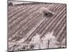 Italy, Monticiano. Infrared image of field building in the vineyard.-Terry Eggers-Mounted Photographic Print