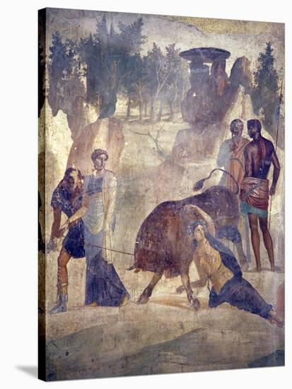 Italy, Naples Museum, from Pompeii, House of Grand Duke of Tuscany (VII, 4, 56), Dirce Punishment-Samuel Magal-Stretched Canvas