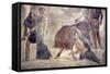 Italy, Naples Museum, from Pompeii, House of Grand Duke of Tuscany (VII, 4, 56), Dirce Punishment-Samuel Magal-Framed Stretched Canvas