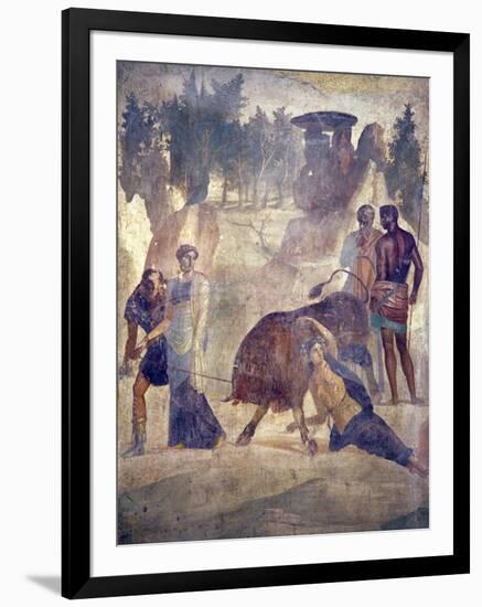 Italy, Naples Museum, from Pompeii, House of Grand Duke of Tuscany (VII, 4, 56), Dirce Punishment-Samuel Magal-Framed Photographic Print