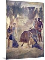 Italy, Naples Museum, from Pompeii, House of Grand Duke of Tuscany (VII, 4, 56), Dirce Punishment-Samuel Magal-Mounted Photographic Print