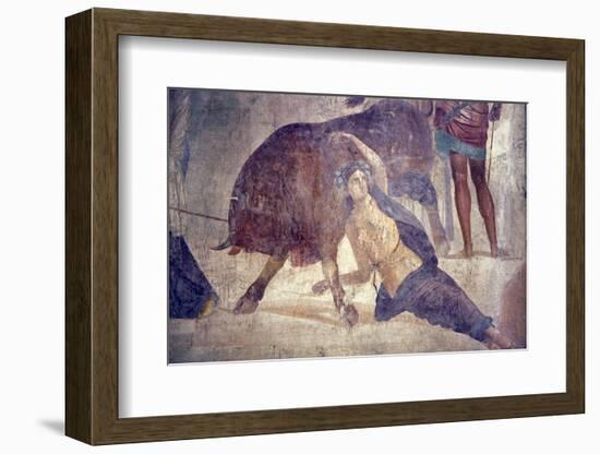 Italy, Naples Museum, from Pompeii, House of Grand Duke of Tuscany (VII, 4, 56), Dirce Punishment-Samuel Magal-Framed Photographic Print