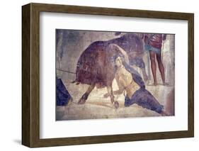 Italy, Naples Museum, from Pompeii, House of Grand Duke of Tuscany (VII, 4, 56), Dirce Punishment-Samuel Magal-Framed Photographic Print