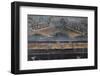 Italy, Naples Museum, from Pompeii, Isis Temple, Naumachia, Representation of a Naval Battle-Samuel Magal-Framed Photographic Print