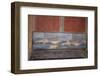 Italy, Naples Museum, from Pompeii, Isis Temple, Naumachia, Representation of a Naval Battle-Samuel Magal-Framed Photographic Print