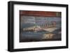 Italy, Naples Museum, from Pompeii, Isis Temple, Naumachia, Representation of a Naval Battle-Samuel Magal-Framed Photographic Print