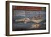 Italy, Naples Museum, from Pompeii, Isis Temple, Naumachia, Representation of a Naval Battle-Samuel Magal-Framed Photographic Print