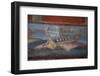 Italy, Naples Museum, from Pompeii, Isis Temple, Naumachia, Representation of a Naval Battle-Samuel Magal-Framed Photographic Print